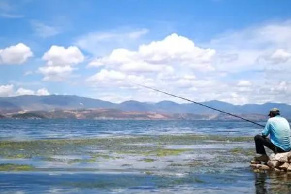 黑坑刚放的鲫鱼怎么垂钓,可选择深浅交界处作为钓点