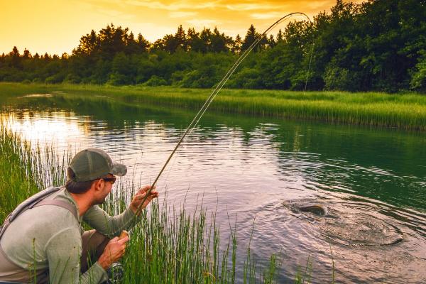 黑坑刚放的鲫鱼怎么垂钓,可选择深浅交界处作为钓点