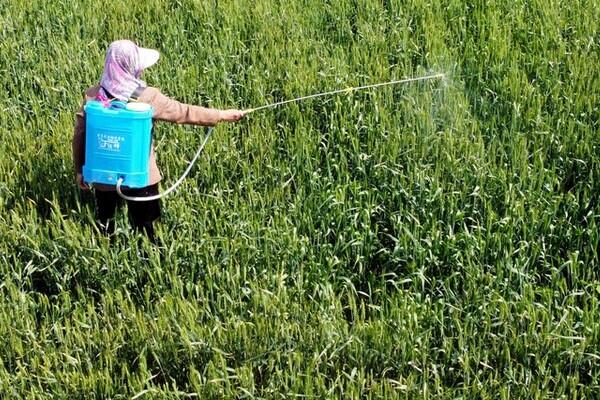 虫螨腈能够与什么农药复配,包括阿维菌素、茚虫威等药物
