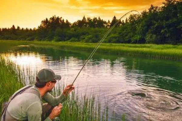 寒冷天气如何野钓鲫鱼,用腥味较大的饵料打窝可提高钓获率