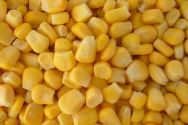 寒冷天气如何野钓鲫鱼,用腥味较大的饵料打窝可提高钓获率