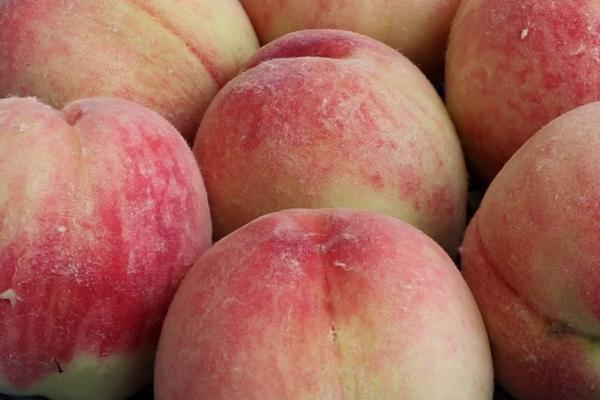 桃子怎么贮藏,可放在低温或密闭环境中保存