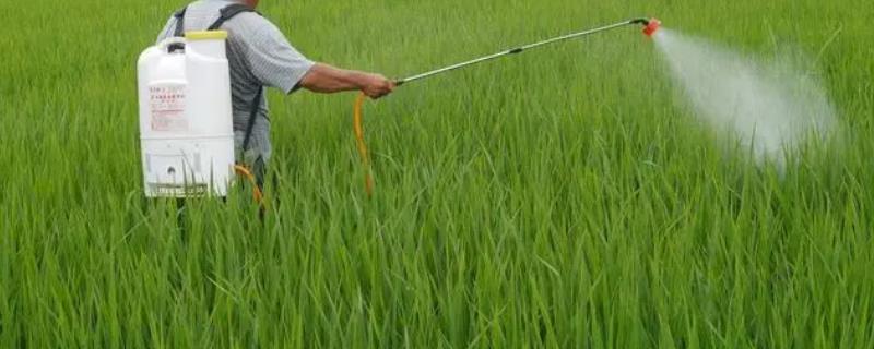 使用微生物农药的好处