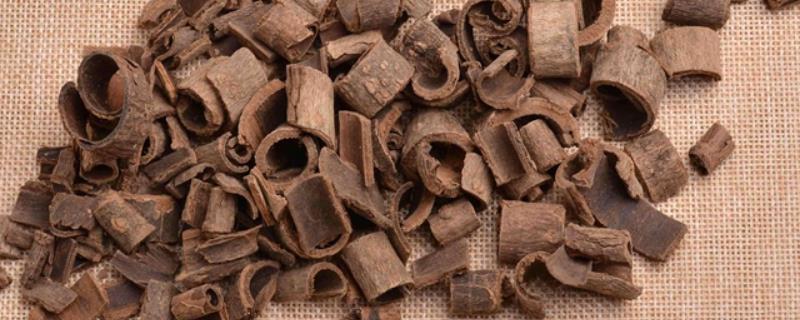 种植厚朴要用什么土壤