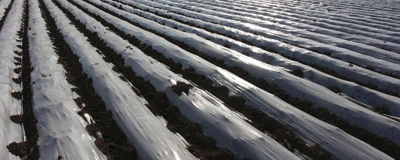 液态地膜是什么