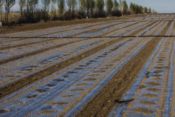 液态地膜是什么,是一种无毒、无污染、可降解的液体