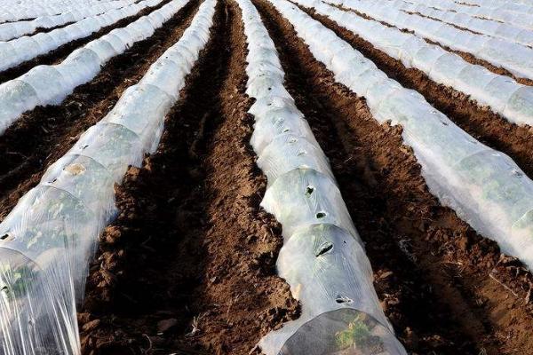 液态地膜是什么,是一种无毒、无污染、可降解的液体