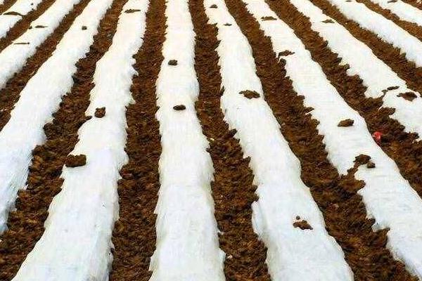 液态地膜是什么,是一种无毒、无污染、可降解的液体