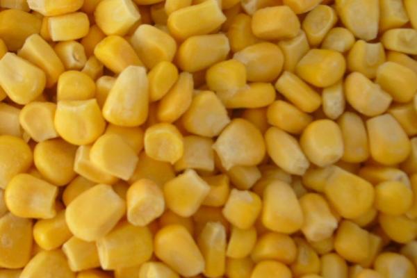 在河里钓鱼是否要打窝,可直接垂钓但打窝效果会更好