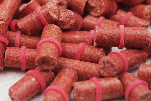 在河里钓鱼是否要打窝,可直接垂钓但打窝效果会更好