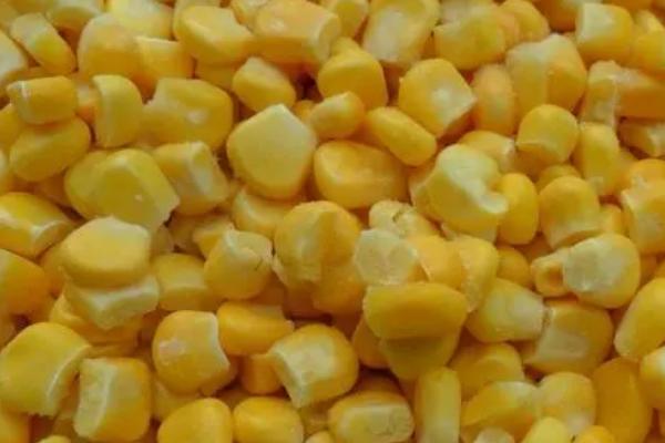 在河里钓鱼是否要打窝,可直接垂钓但打窝效果会更好