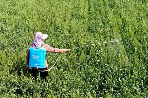 吡唑醚菌酯怎么使用,可根据使用对象兑水喷雾