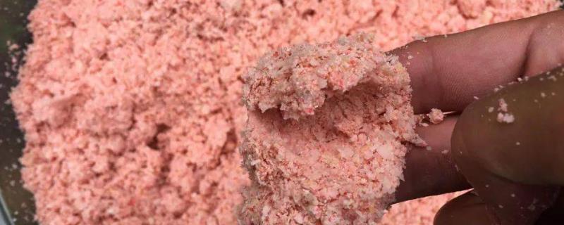 野钓大鲫鱼的饵料能不能自制