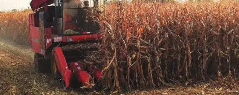 小型玉米收割机的防火措施
