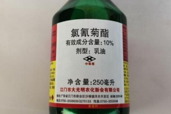 高效氯氰菊酯和氯氰菊酯的区别，高效氯氰菊酯主要防治鳞翅目害虫
