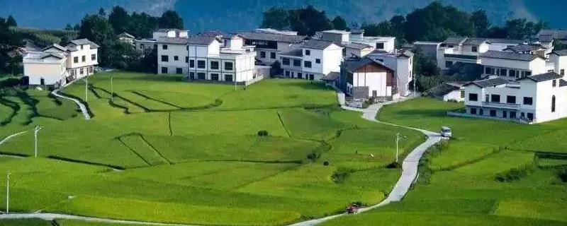 新三农指哪三农