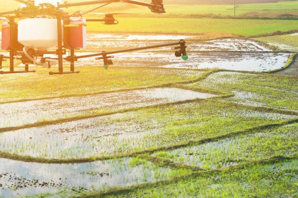 新三农指哪三农,即新农民、新农业和新农村