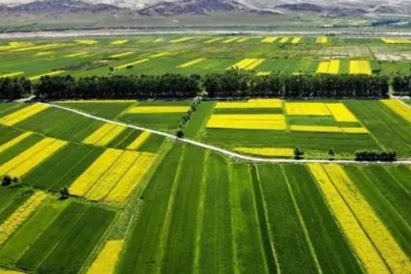 新三农指哪三农,即新农民、新农业和新农村