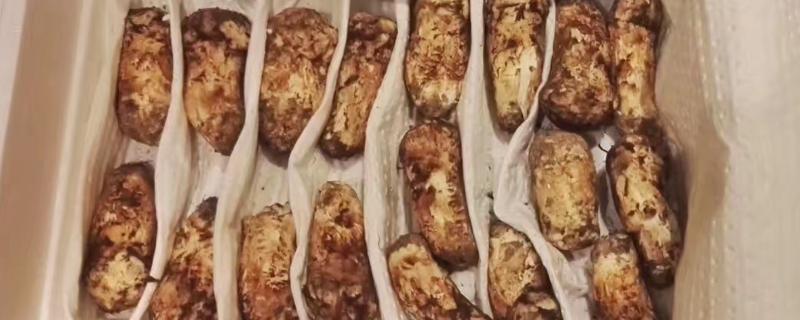 姬松茸能放冰箱吗