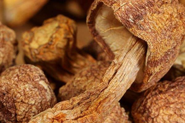 姬松茸能放冰箱吗,保鲜袋密封后放入冰箱