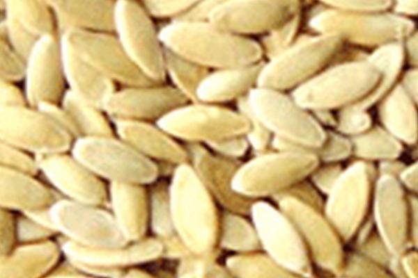 黄瓜种子的有效使用期,不得超过3年