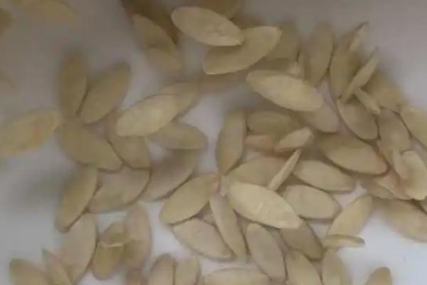 黄瓜种子的有效使用期,不得超过3年