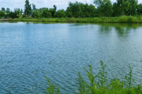 鱼塘的水怎么保持,可换水或者加入生石灰