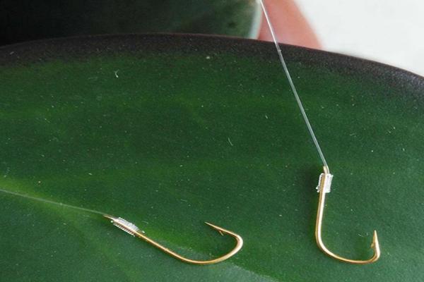 伊势尼10号钩可以钓多重的鱼,至少可垂钓10斤重的鱼种
