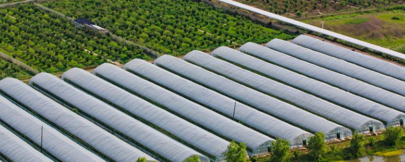 冬季大棚加温方式