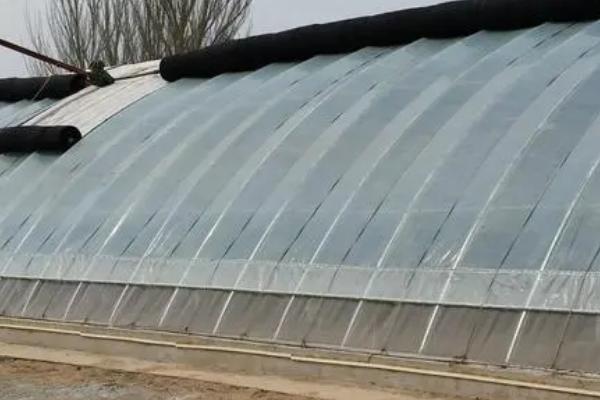 冬季大棚加温方式,可多层覆盖或起垄栽培