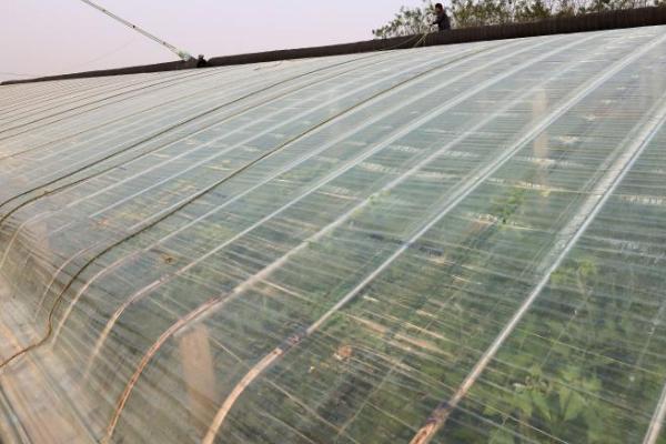 冬季大棚加温方式,可多层覆盖或起垄栽培