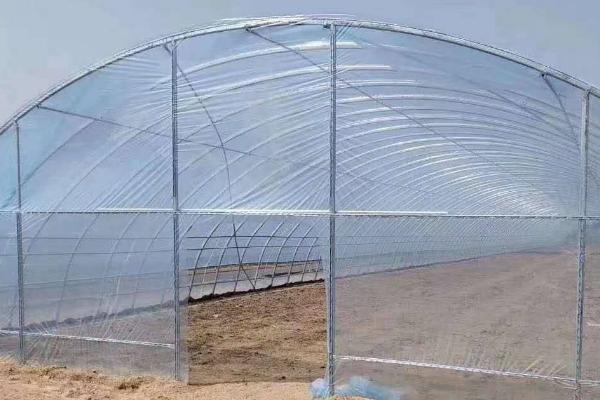 冬季大棚加温方式,可多层覆盖或起垄栽培