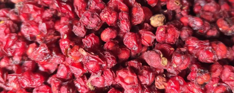 五味子的管理技术