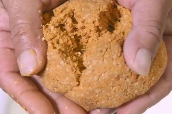钓青鱼的饵料选择,首选螺狮