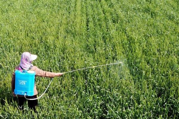 乳油型农药怎么使用,拌种具有杀菌效果