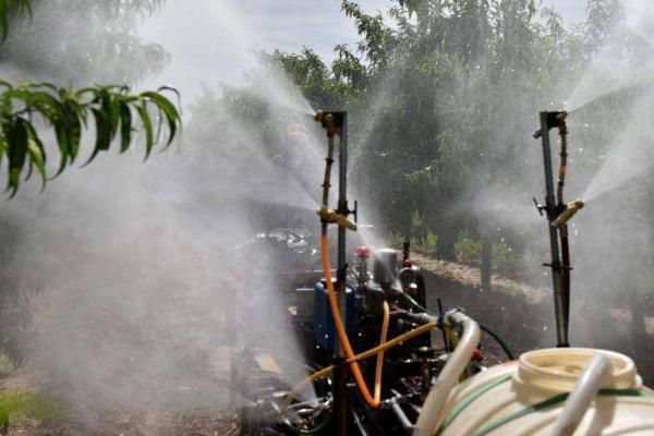 果树选农药注意事项,正确选购合理使用