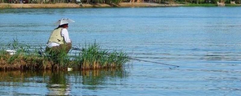 下雨的前一天好钓鱼吗