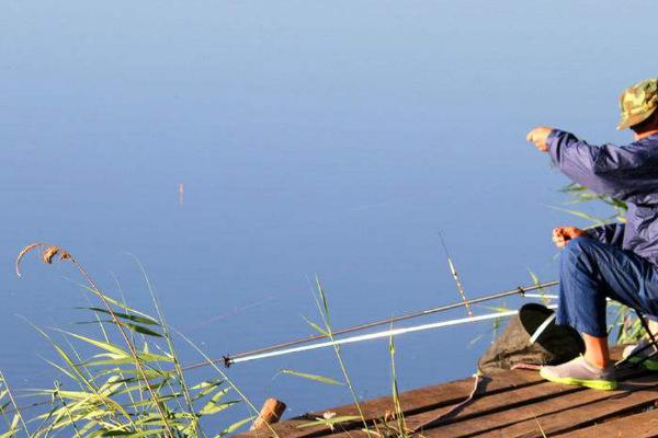 冬天3-5℃能钓鲢鱼吗,气温低钓鲢鱼的概率不大