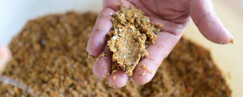 用哪种饵料打窝能吸引大鲫鱼