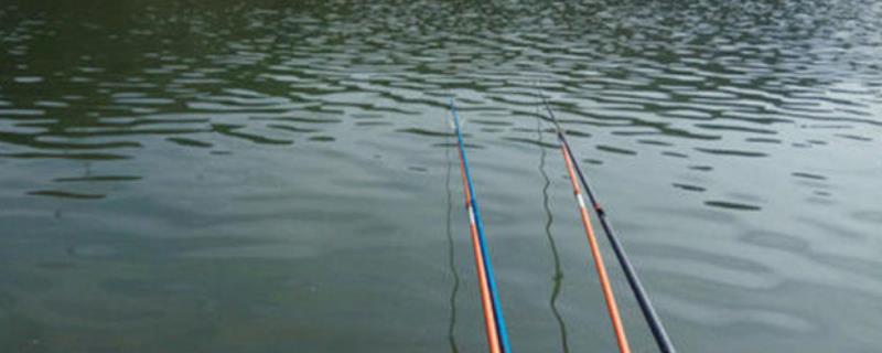 钓鱼适合用腥味还是香味饵料