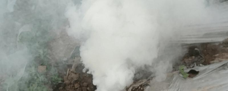 怎么对蔬菜使用烟熏剂