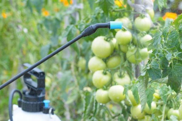 怎么对蔬菜使用烟熏剂,吊在蔬菜上方50厘米处、然后点燃即可