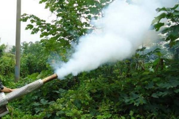 怎么对蔬菜使用烟熏剂,吊在蔬菜上方50厘米处、然后点燃即可