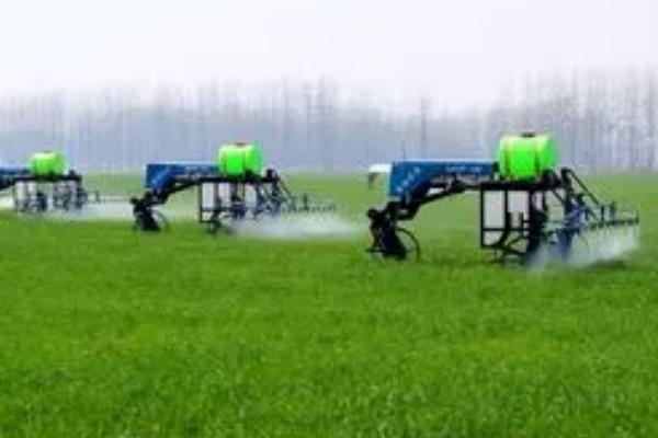 怎么防治介壳虫,可喷施阿维菌素+螺虫乙酯悬浮剂