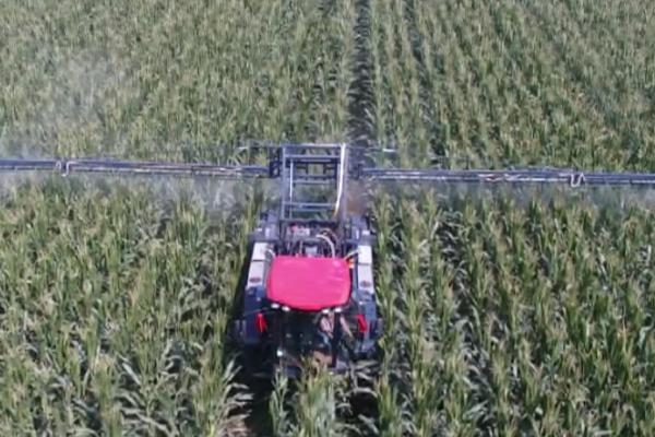 怎么防治介壳虫,可喷施阿维菌素+螺虫乙酯悬浮剂