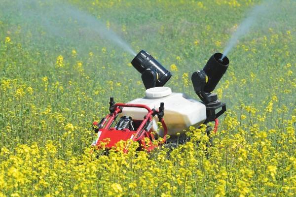 油菜肥害防治的小技巧,提倡施用酵素菌沤制的堆肥和腐熟有机肥
