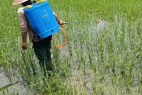 有机磷农药有哪些,常见的有敌百虫、敌敌畏和毒死蜱等