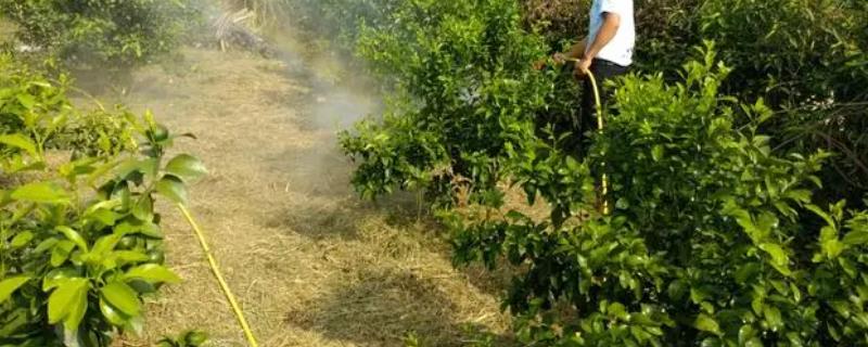 多抗霉素防治哪些病害