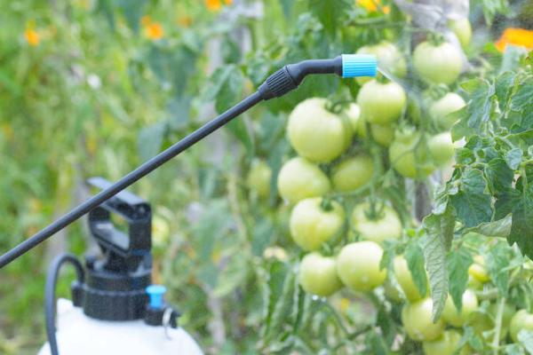 多抗霉素防治哪些病害,对蔬菜苗期猝倒病、苹果树斑点落叶病有效