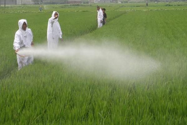 多抗霉素防治哪些病害,对蔬菜苗期猝倒病、苹果树斑点落叶病有效